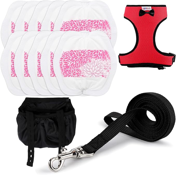 Adjustable Chicken Harness Diaper (5.4ft Leash) – Breathable & Washable Secure Training for Hens, Ducks & Chicks | Outdoor Walking & Discipline Solution,red