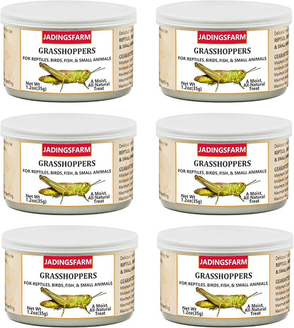 6 Pack Canned Grasshoppers for Reptiles, Fish, Birds and Small Animals, Grasshoppers, Healthy High Protein Treat, Bearded Dragon Food 7.2 Ounces Total
