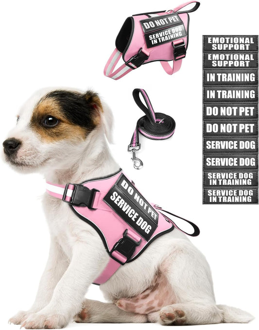 Service Dog Vest Harness and Leash Set+10 Patches for Puppy Small Dogs,Do Not Pet Emotional Support Dog Vest with 2 Soft Padded Handle for Everyday/Training (Pink XS)