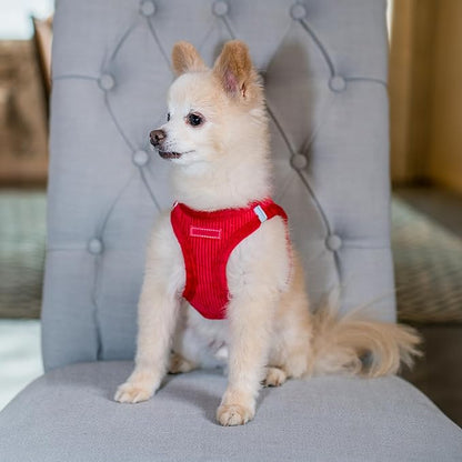Best Pet Supplies - All Weather Mesh/Plush, Reflective, No Pull Harness for Small, Medium Dogs, Cats - Secure with Hook & Loop Fastener, Buckle, Double D-Rings - Red Corduroy, S