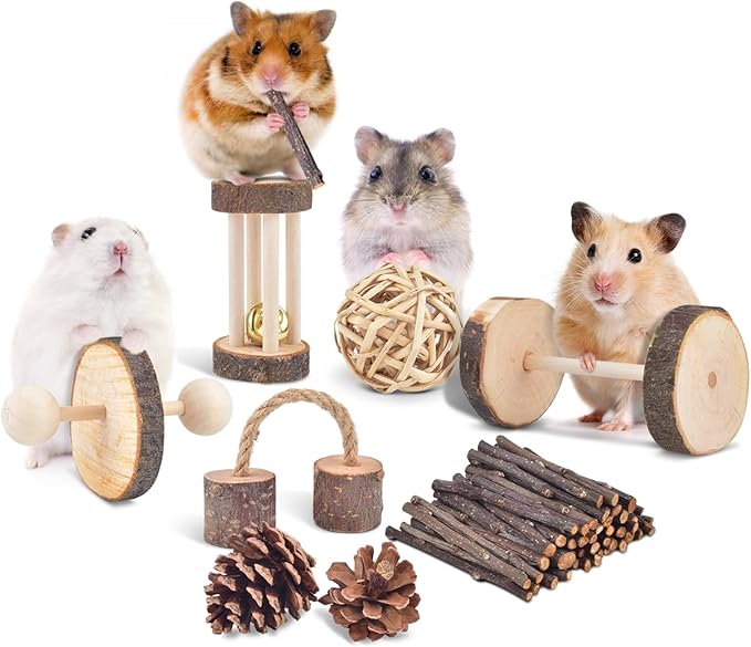 ERKOON 11 Pack Chinchillas Chew Toys, Toys Accessories for Teeth Care, Natural Apple Wood Ladder Bell Roller for Russian Hamster Gerbils Rats Guinea Pigs (11PCS)