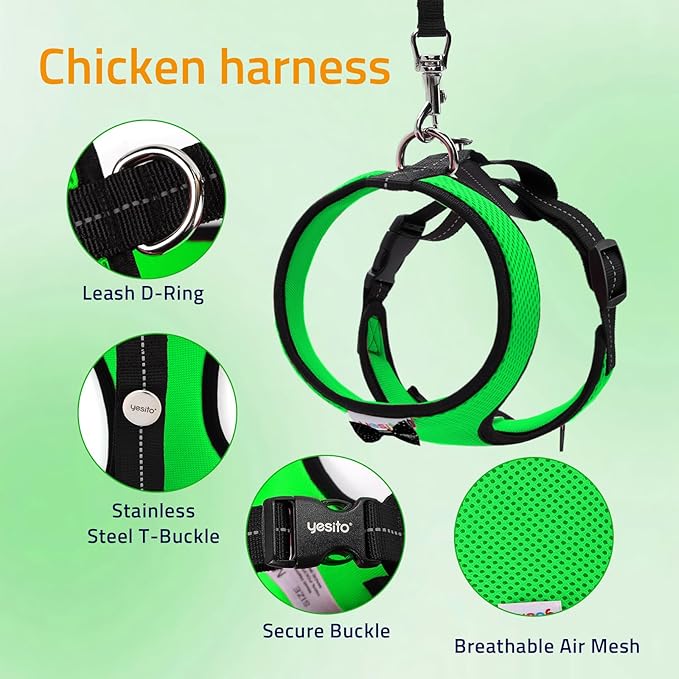 Adjustable Chicken Harness Diaper (5.4ft Leash) – Breathable & Washable Secure Training for Hens, Ducks & Chicks | Outdoor Walking & Discipline Solution