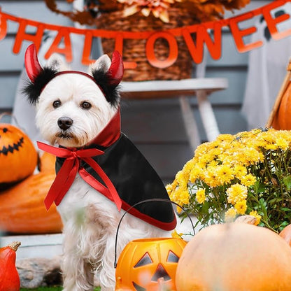 5 Pcs Cat Halloween Vampire Costume Halloween Pet Costume Clothes Set Cat Vampire Cloak Devil Witch Hat Bat Wings Wizard Clothes for Puppy Cosplay Dress up Accessories