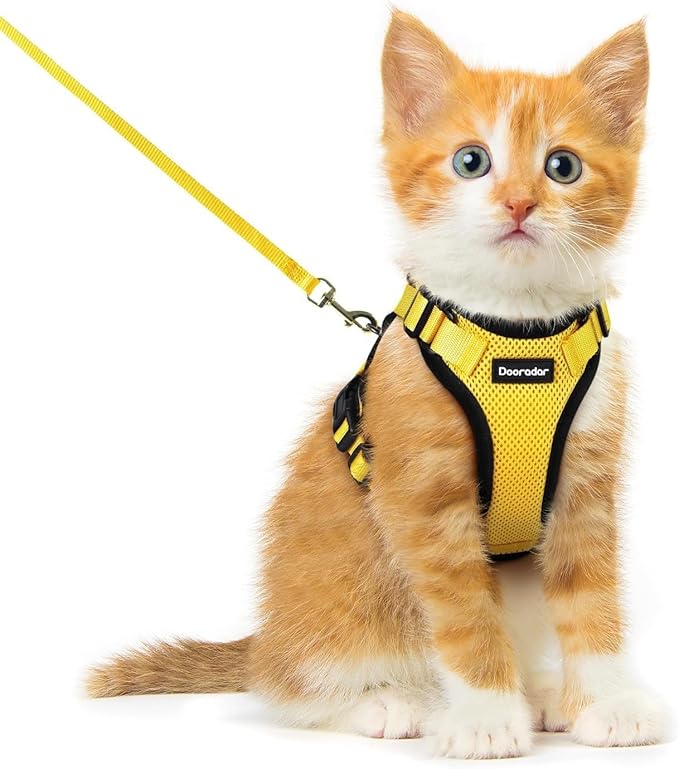 Dooradar Cat Harness and Leash Set, Escape Proof Safe Adjustable Kitten Vest Harnesses for Walking, Easy Control Soft Breathable Mesh Jacket with Reflective Strips for Cats, Yellow, XXS