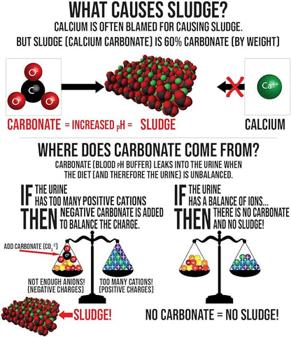 Sherwood Pet Health Adult Guinea Pig Food - Free Choice Timothy Pellet-4.5lbs