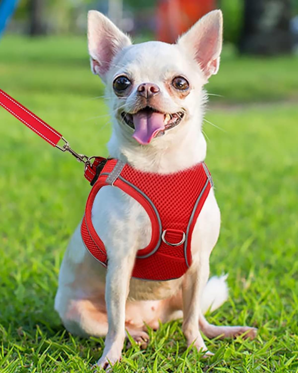 Joytale Small Dog Harness, Breathable Mesh Step-in Vest, Reflective Soft Padded Harnesses for Puppies and Extra Small Dogs, Red, XS