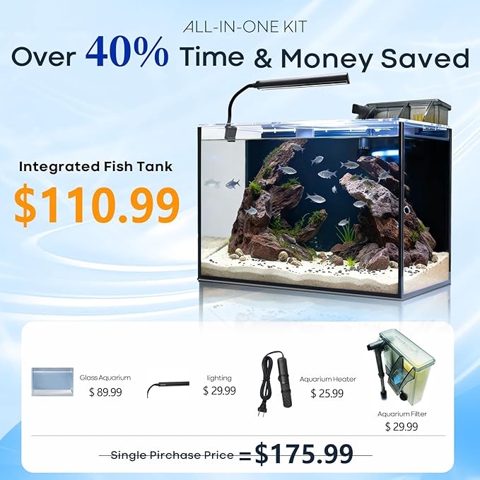 10 Gallon Aquarium Set Glass Fish Tank, with Heater Self Cleaning System Filter with Media Bright Light, Leak-Proof Clear Rimless Betta Tropical Freshwater Fish