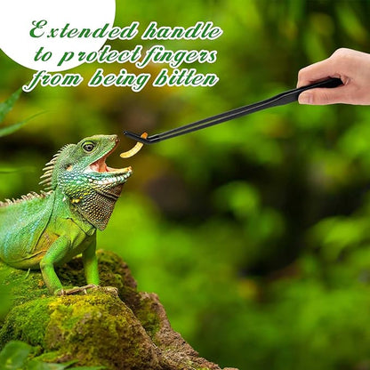 Lasnten 2 Pcs Extra Long Stainless Steel Reptile Feeding Tongs with Rubber Tip Bearded Dragon Aquarium Straight and Curved Long Tweezer Terrarium Feeder Tool for Tank(Black, 10 Inch, 10.5 Inch)