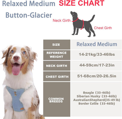 Dog Harness, No Pull Dogs Harness and Multi-Function Leash Set for Medium Dogs Easy Walk Everyday Adjustable Soft Dog Vest Harness Fashionable Dog Accessories Glacier Blue Button-Relaxed Medium