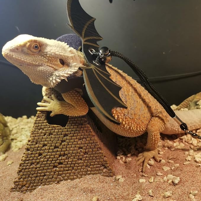 Bearded Dragon Lizard Backpack Carrier with Harness and Leash Set, Small Animal Carrier Backpack, Space Capsule Bubble Window, Small Pet Carrier Backpack, Airline Approved (Black)