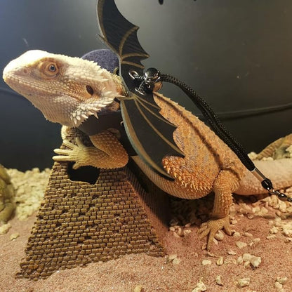 Bearded Dragon Lizard Backpack Carrier with Harness and Leash Set, Small Animal Carrier Backpack, Space Capsule Bubble Window, Small Pet Carrier Backpack, Airline Approved (Black)