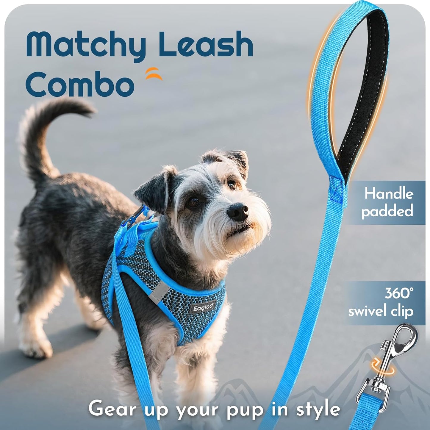 Eagloo Small Dog Harness and Leash Set, Step in Puppy Vest with Breathable Soft Mesh, Walking Reflective Pet Harness for Small Dogs, Blue, XS
