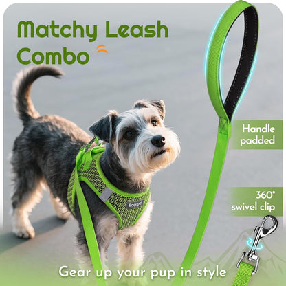 Eagloo Small Dog Harness and Leash Set, Step in Puppy Vest with Breathable Soft Mesh, Walking Reflective Pet Harness for Small Dogs, Green, S