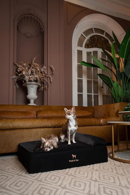 NOAH & PAW Large Dog Bed, 35x25x11 Inch, Orthopedic Dog Beds, Eggshell Memory Foam Infused with Cooling Gel, Inner Cover, Waterproof, Machine Washable (Velvet Sofa Collection)