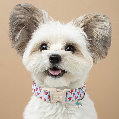 DOGWONG Valentine Dog Collar- Cute Blue Heart Dog Collars Adjustable Designer Valentine’s Day Puppy Heart Dog Collar for Small Medium Large Dogs L