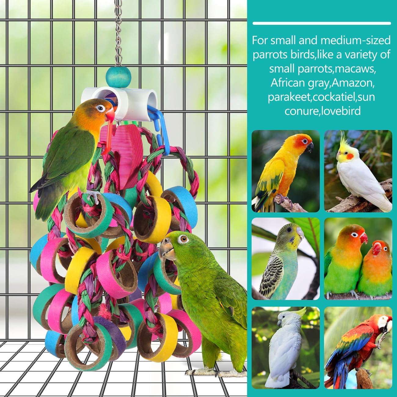 Bird Toys Conure Toys,Bird Parrot Foraging Shredder 24 Pcs Colorful Bagel Chewy Rings for Small Parrots Parakeets Conures Cockatiels Love Bird Cage Accessies (W)