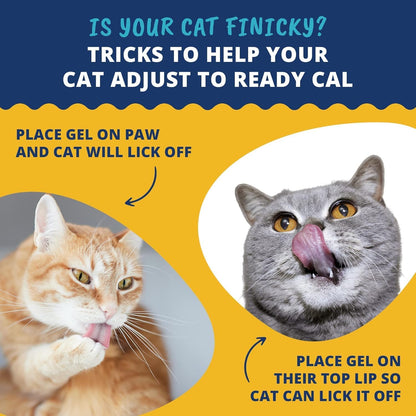 Under The Weather Pet | Ready Cal for Cats 100cc | High Calorie Supplement | Cat Weight Gainer and High Calorie Booster | 10 Vitamins, 7 Minerals & Omega Fatty Acids (2 Pack)