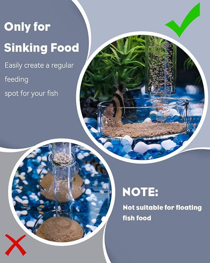 Pawfly 3 Pcs Shrimp Feeding Dish, Clear Glass Aquarium Shrimp Feeder, Transparent Food Tray for Fish Tanks and Terrariums