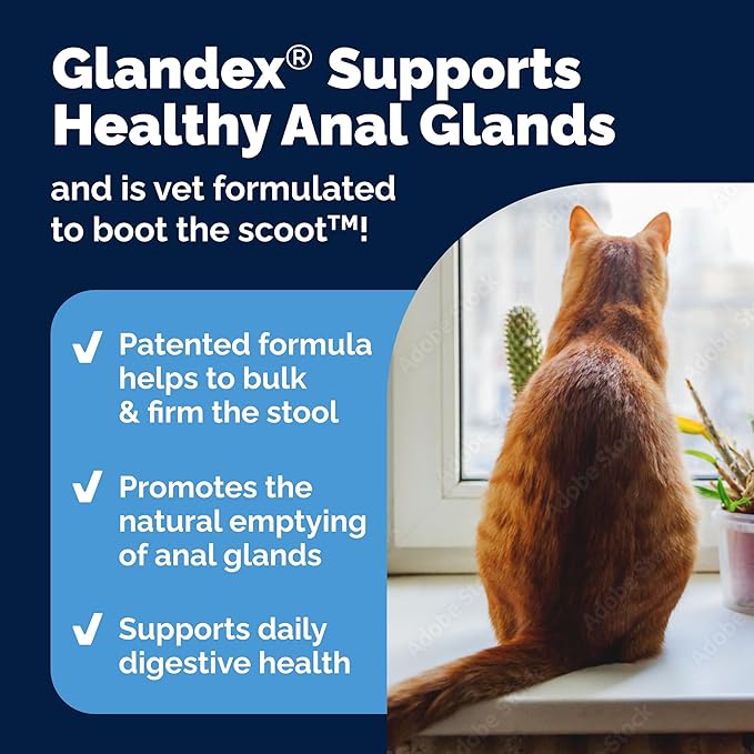 Vetnique Glandex Feline Anal Gland or Daily Probiotic Fiber Supplement Powder for Cats with Digestive Enzyme, Probiotics and Pumpkin, Vet Recommended for Healthy Bowels (4oz, Anal Gland Powder - Tuna)