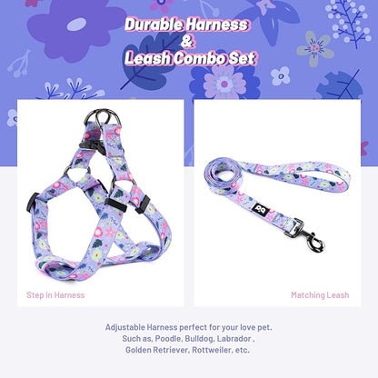 QQPETS Dog Harness Leash Set Adjustable Heavy Duty No Pull Halter Harnesses for Small Medium Large Breed Dogs Back Clip Anti-Twist Perfect for Walking