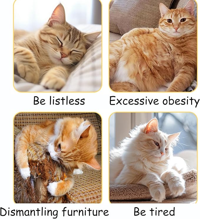 Cat Scratch Puzzle Enrichment Box Nail File - Natural Solid Oak Wood Cat Toy with 6 Bell Balls & Feather Wand, Furniture Protector & Stress-Free Nail Care for Indoor Cats, Best Gift for cat