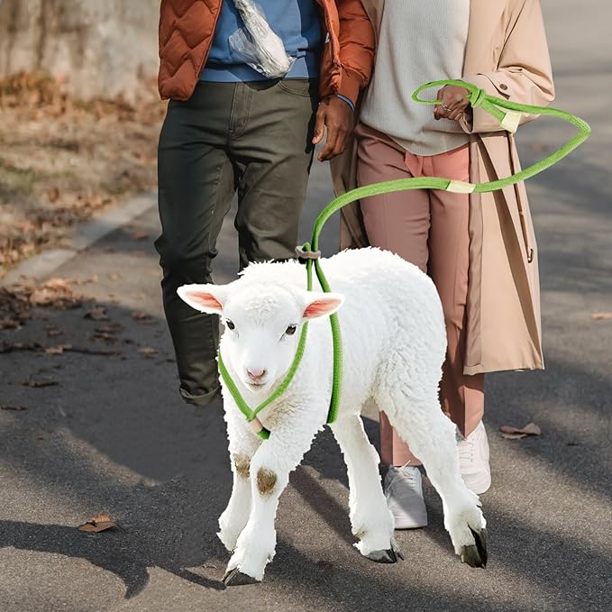 Goat Harness for Walking, Goat Supplies Accessories Washable Leash, Livestock Supplies for Sheeps