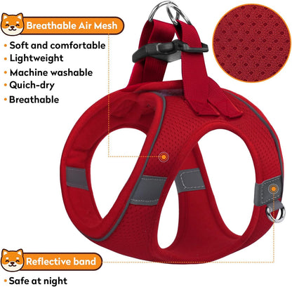 Dog Harness with Leash Set, No-Pull Step-in Reflective Pet Harness with 1 Leash Clips, Adjustable Soft Padded Easy Walk Dog Vest for Small Medium Large Dogs, Cats(Bright Red, Small)