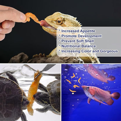 Freeze-Dried Krill Jumbo Shrimp - High Protein Natural Reptile Food for Turtles, Bearded Dragons, Tropical Fish & Amphibians(4oz)