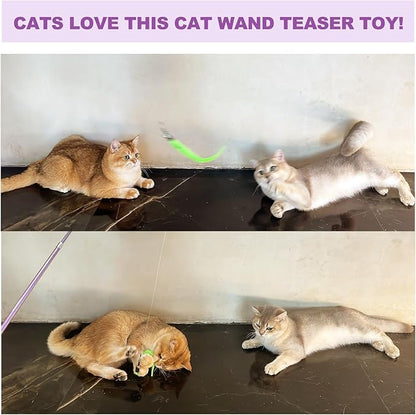 11PCS Cat Wand Toy, Cat Interactive Toys for Indoor Cats, 2 Retractable Cat Wand, 7 Worm Cat Teaser Toys and 1 Plush Fish Cat Toy, Cat Feather Toys for Play Chase Exercise with Kitten, Extra 1 Line