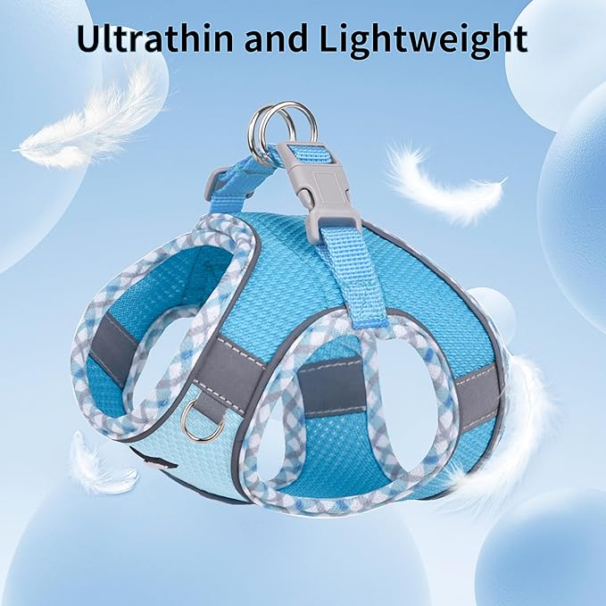 AIITLE Dog Harness and Leash Set - Ultra-Comfortable XXS-XL Vest with Strong Magic Tape & Glow-in-Dark Reflective Strips, Chafe-Free for Teddy, Schnauzer (Blue, M)