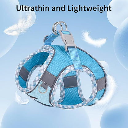 AIITLE Dog Harness and Leash Set - Ultra-Comfortable XXS-XL Vest with Strong Magic Tape & Glow-in-Dark Reflective Strips, Chafe-Free for Teddy, Schnauzer (Blue, M)