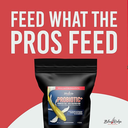 Blue Ridge Koi Fish Food 2lb - 3/16" Probiotic Plus for Goldfish and Ponds, Premium Fall and Winter Floating Pellets