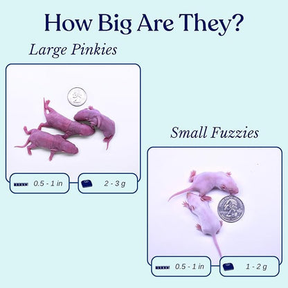 MiceDirect Frozen Mice Combo Pack 100 Pinkies & 50 Small Fuzzies Feeder Snake Reptile Food (150 Count)