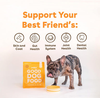 Pupford Good Dog Food, Freeze-Dried Raw, High-Protein, Superfood Ingredients, Vet-Approved, No Fillers or Artificial Additives (Chicken Recipe, 16 oz)