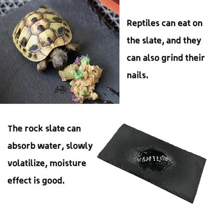 Reptile Basking Platform Tortoise Rock Plate 9.8’’x4.7’’ Feeding Food Bowl Slate Dish Turtle Bathing Resting Terrace for Lizard Bearded Dragon Chameleon Gecko Snake Frog Newt