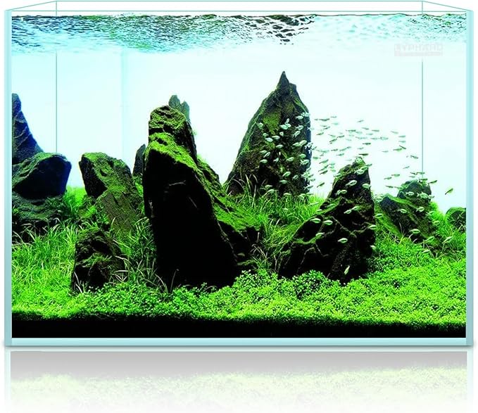 LYPHARD AQUARIUMS 3.5 Gallon Rimless Aquarium, Ultra Clear Low Iron Nano Fish Tank for Betta Shrimp, L15×W5.5×H9.8 Glass Thickness 5mm with EVA Foam Leveling Mat