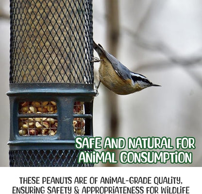 Premium Quality Raw Peanuts in Shell - 5 Pounds – All-Natural Food for Squirrels, Deer, Birds, and Other Wildlife Animals – Grown in The USA for Healthy Nutrition
