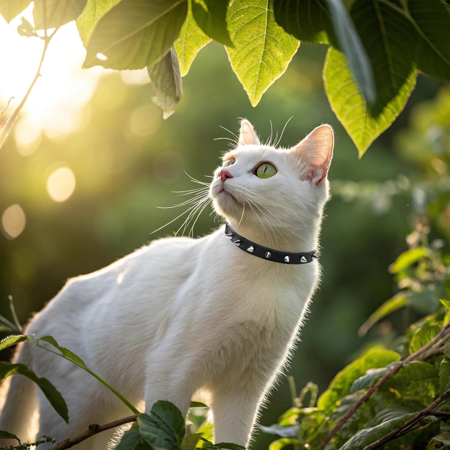 EXPAWLORER Leather Cat Collar for Girl Boy- Adjustable Pet Collar with Safety Elastic Belt,Personalized Punk Accessories Buckle Collars with Bell & Durable D-Ring,Pure Rivets(Black)