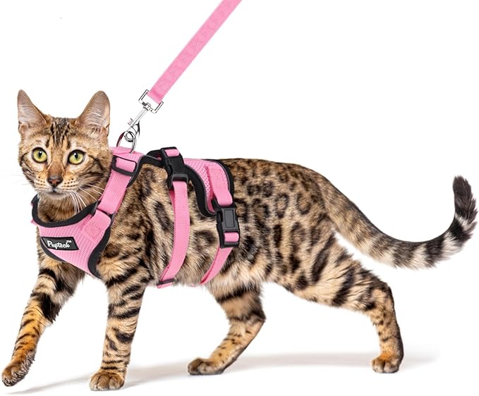 PUPTECK Cat Harness and Leash Set Escape Proof for Walking, Breathable Mash Vest Adjustable Harness for Cats Puppy Small Animals, Reflective at Night, Pink Medium