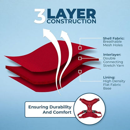 Voyager Step-in Lock Adjustable Cat Harness w. Cat Leash Combo Set with Neoprene Handle 5ft - Supports Small, Medium and Large Breed Cats by Best Pet Supplies - Red, XXXS