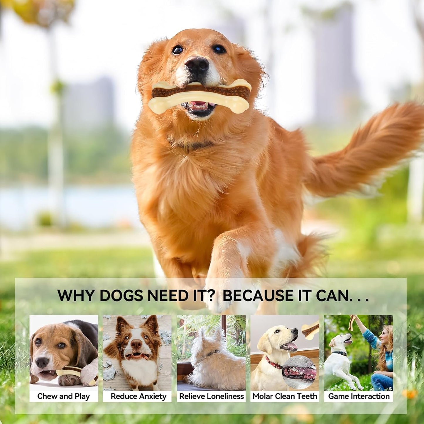 Dog Chew Toys for Aggressive Chewers, 2 Pack Beef Flavor Tough Dog Bones for Large/Medium Breed Dogs, Nylon Dog Toys for Teething and Training