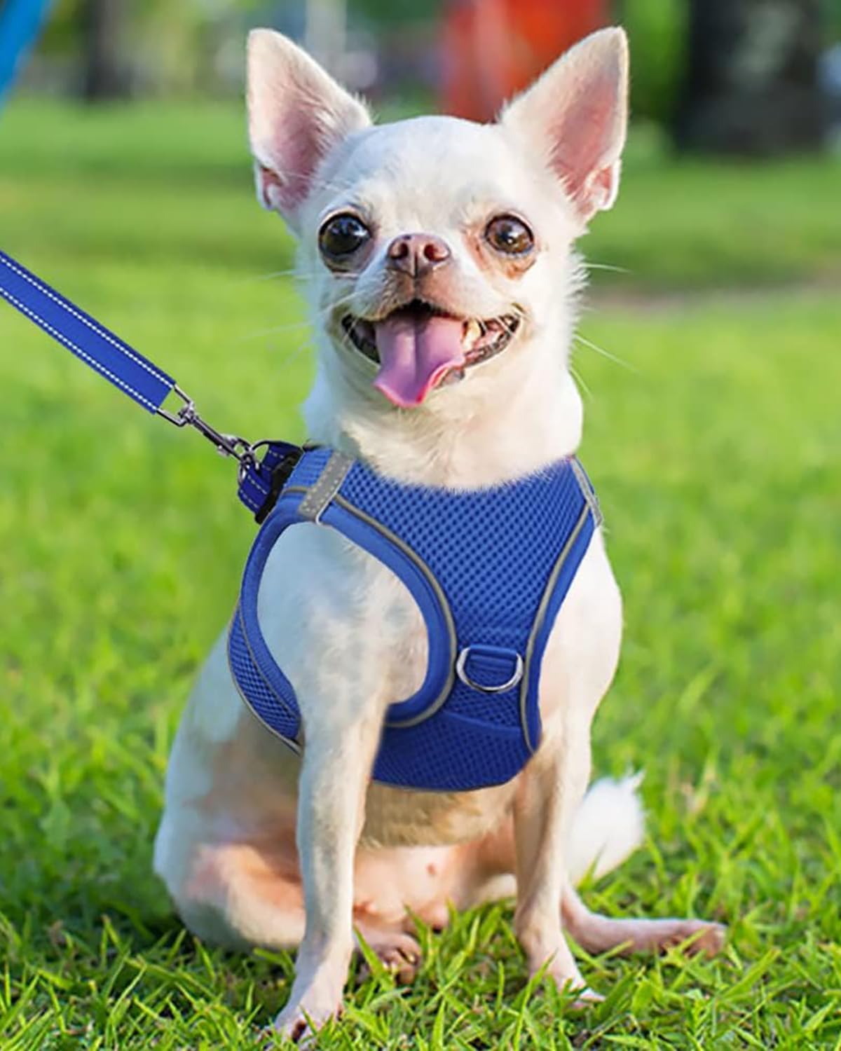 Joytale Small Dog Harness, Breathable Mesh Step-in Vest, Reflective Soft Padded Harnesses for Puppies and Extra Small Dogs, Navy Blue, XS