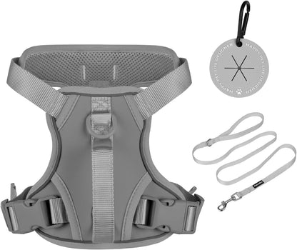 Petmolico Dog Harness for Small Dogs, Cute Harness Vest with Two Leash Clips and Soft Handle, Reflective Easy Walk Puppy Vest - Grey, Medium