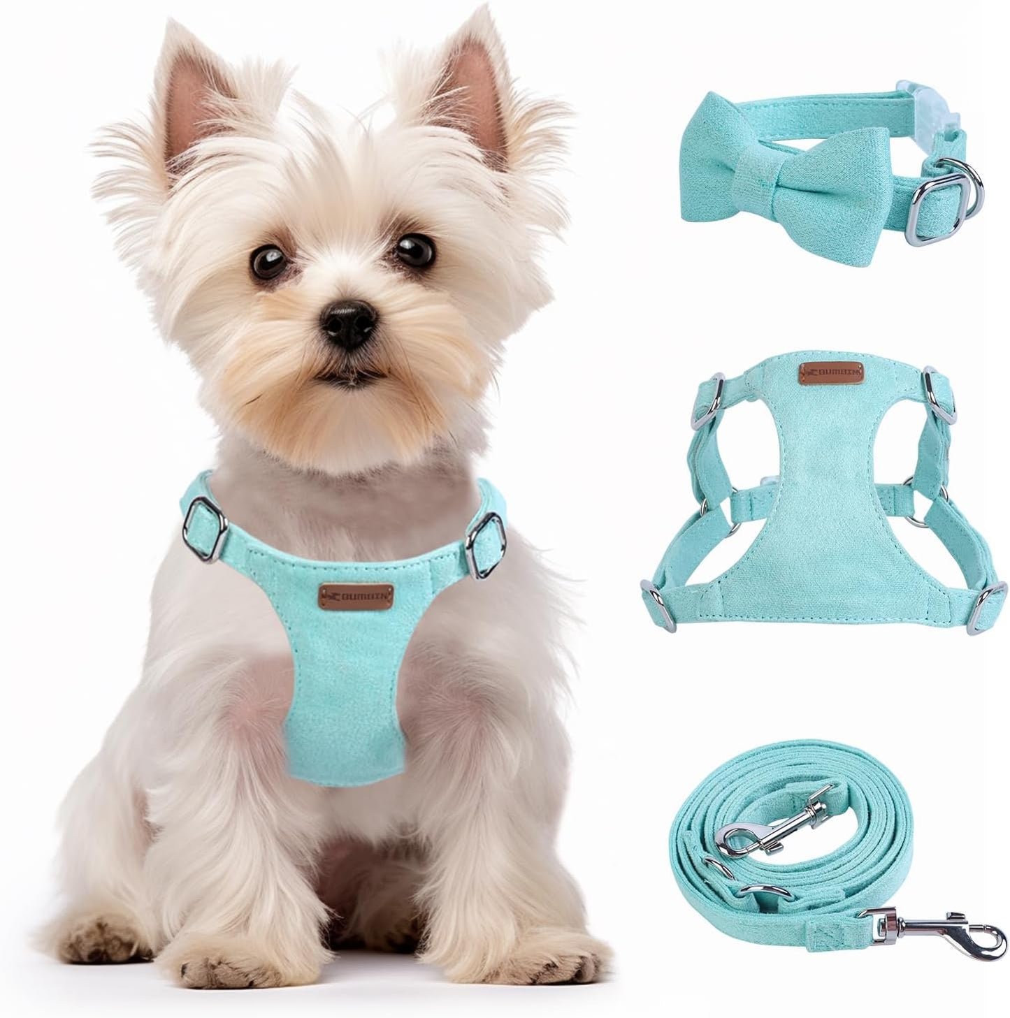 Dog Harness and Leash Set, XXS No Pull Adjustable Puppy Harness with Multifunction Pink Dog Leash and Dog Collar, Soft No Choke Escape Proof Pet Harness Vest for Small Dogs and Cats (Mint Green, S)
