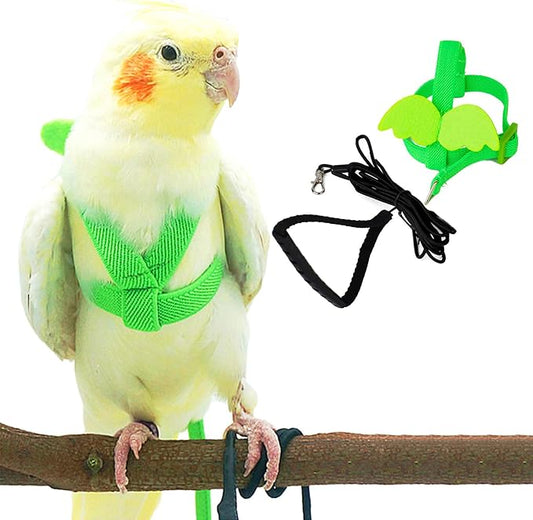 Dnoifne Pet Parrot Bird Harness and Leash, Adjustable Training Design Anti-Bite, Bird Nylon Rope with Cute Wing for Parrots, Suitable for Scarlet, Keck, Mini Macaw and Same Size Birds (Green)