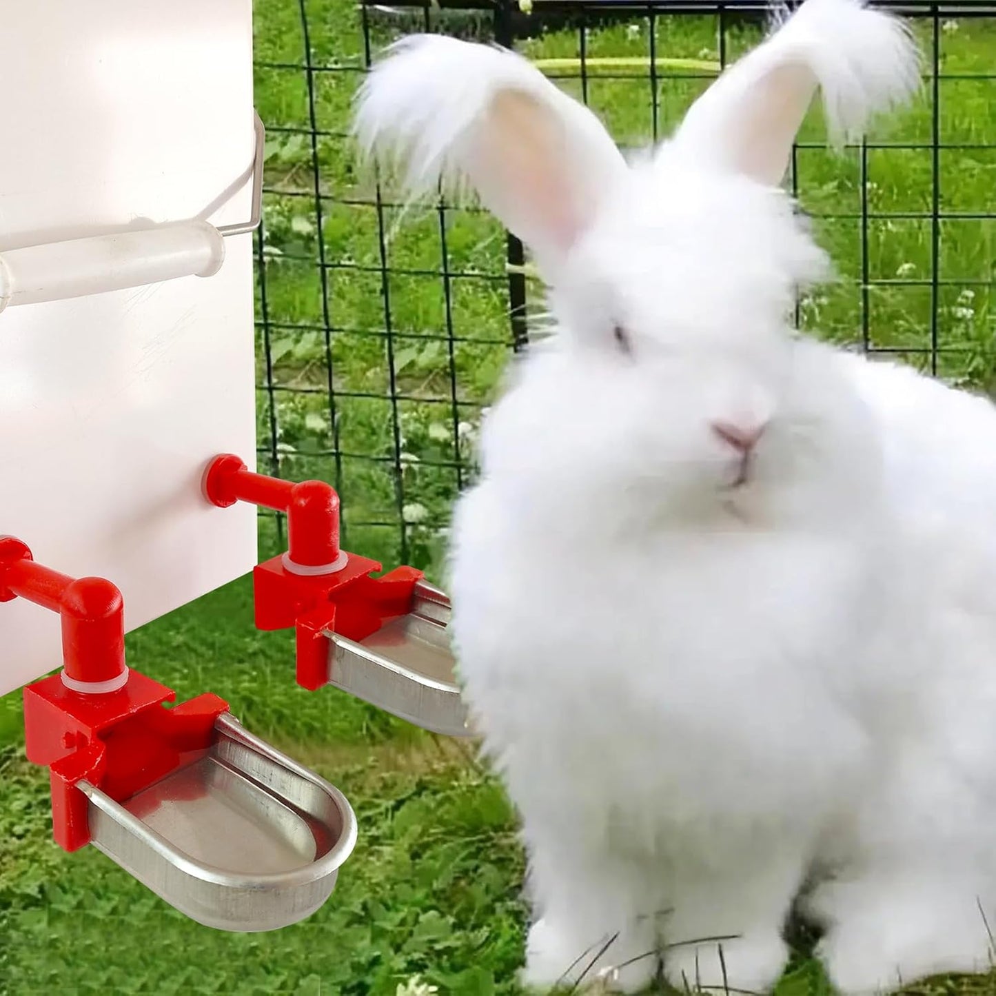 Metal Rabbit Chicken Water Cup Chicken Kettle DIY Rabbit Chicken Small Hamster Guinea Pig (Black, 6)