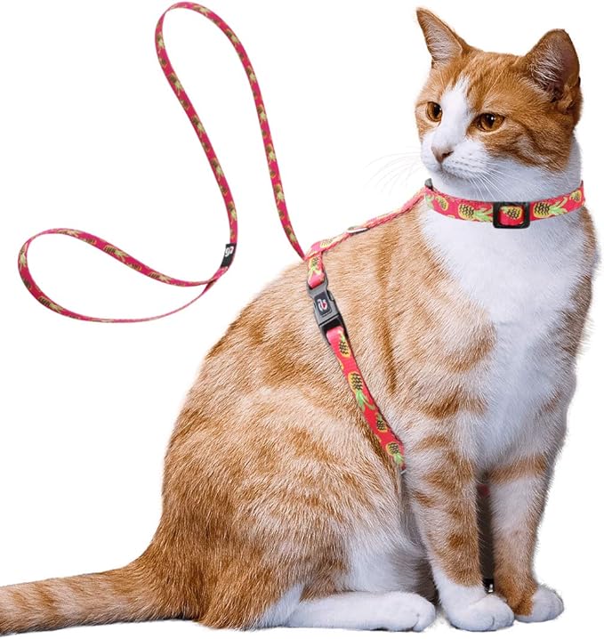 azuza Cat Harness and Leash Set, Escape Proof Adjustable Kitten Vest for Walking and Travel, Soft Lightweight Cat Carrier Harness for Small to Large Cats, Pineapple Design