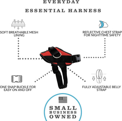 ShawnCo Essential Dog Harness, No-Pull Pet Vest with 3 Leash Clips, No Choke, Reflective, Adjustable and Padded, for Easy Walking and Training for Small Dogs (Mustang Red, S)