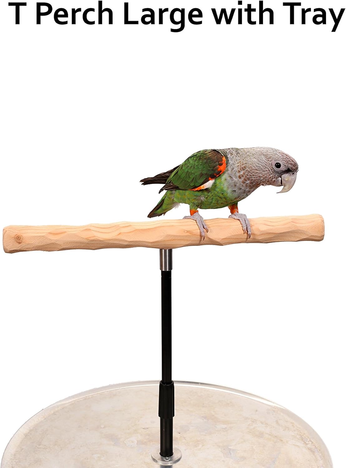 Parrot Training Perch Stand with Potty Tray (T Perch, Large)