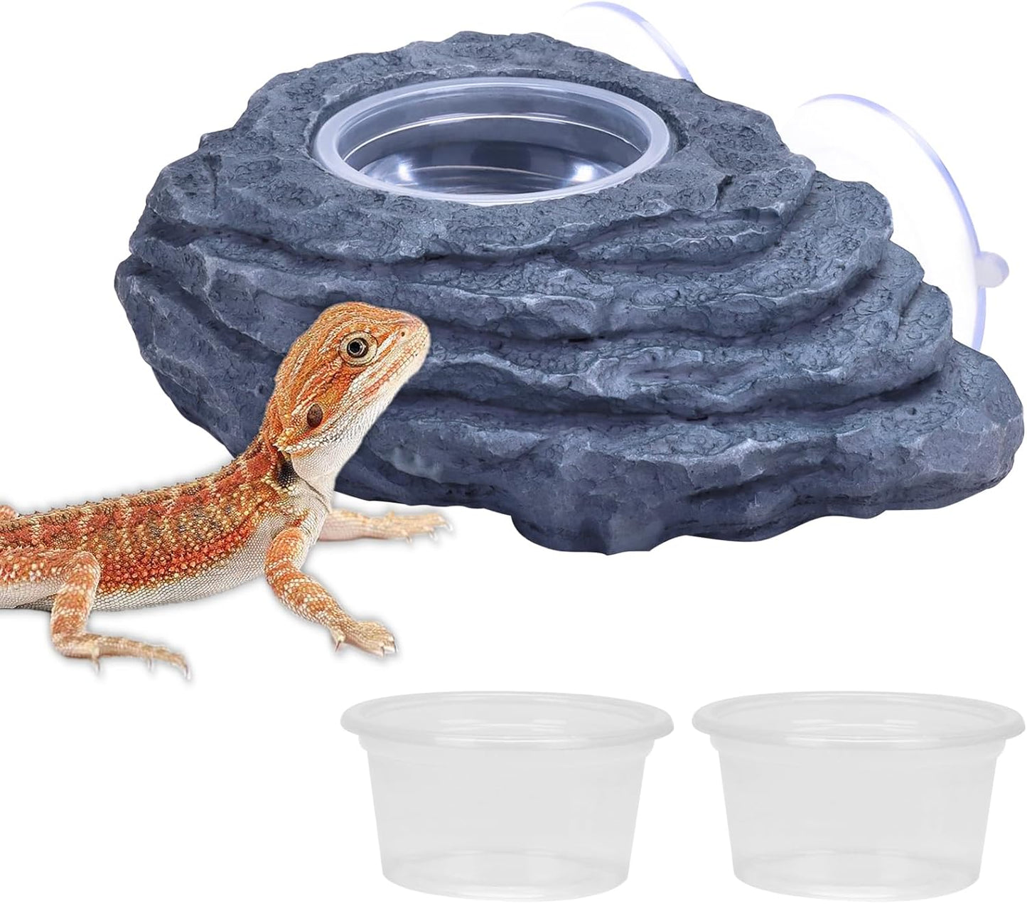 AIICIOO Crested Gecko Feeder Ledge Single Bowl Reptile Food Dish with 3PCS Reptile Feeding Cup Pet Water Dish for Bearded Dragon Snake Frog Tortoise Lizard Chameleon